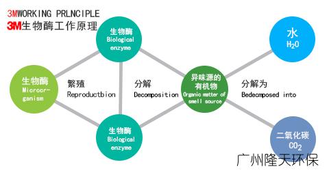 广州除甲醛公司