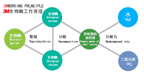 3M生物酶除甲醛原理